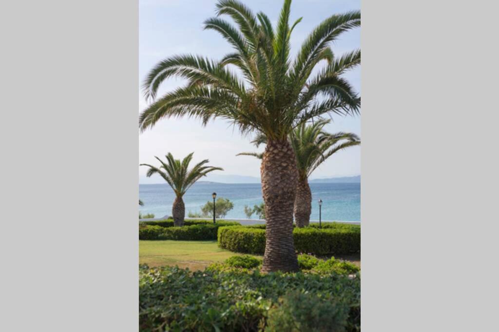 Palmaya Villa, Unique Seafront Experience Vagia  Buitenkant foto
