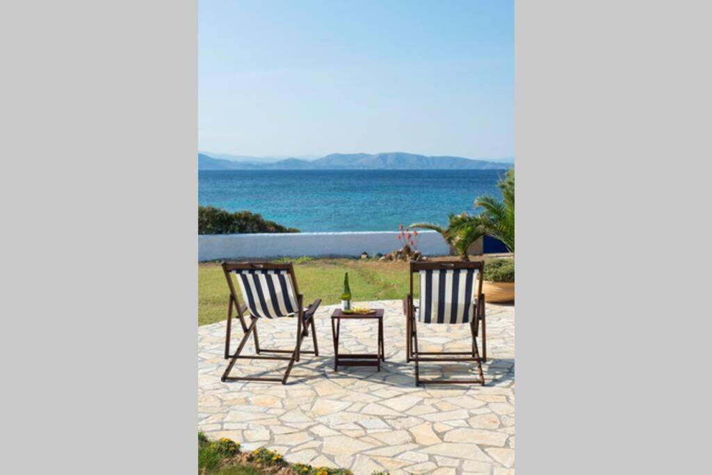 Palmaya Villa, Unique Seafront Experience Vagia  Buitenkant foto