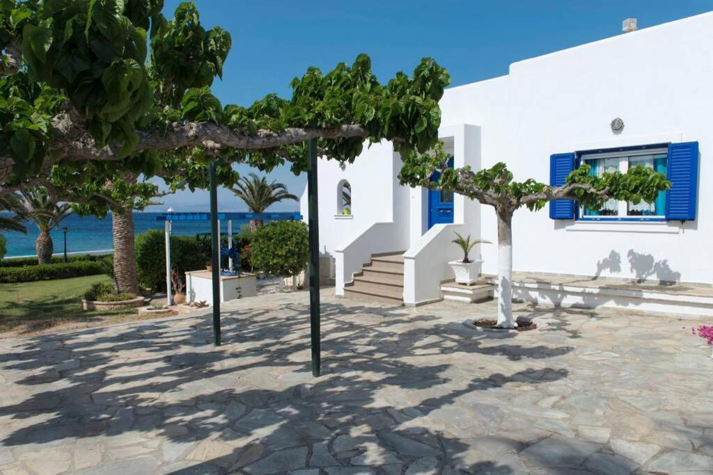 Palmaya Villa, Unique Seafront Experience Vagia  Buitenkant foto