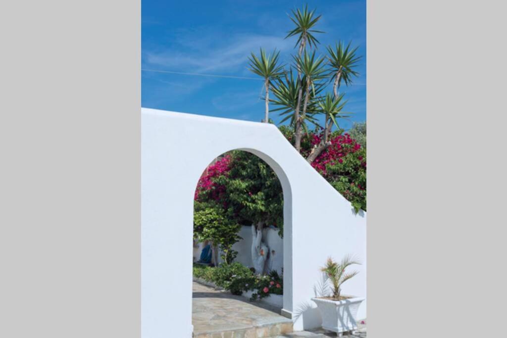 Palmaya Villa, Unique Seafront Experience Vagia  Buitenkant foto