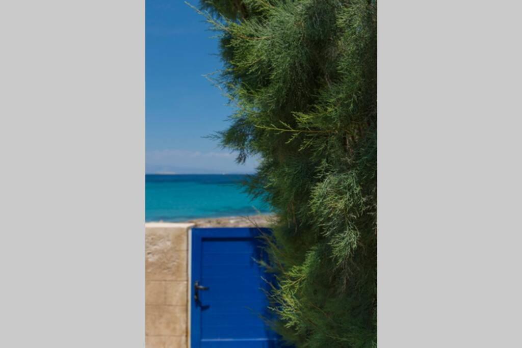 Palmaya Villa, Unique Seafront Experience Vagia  Buitenkant foto