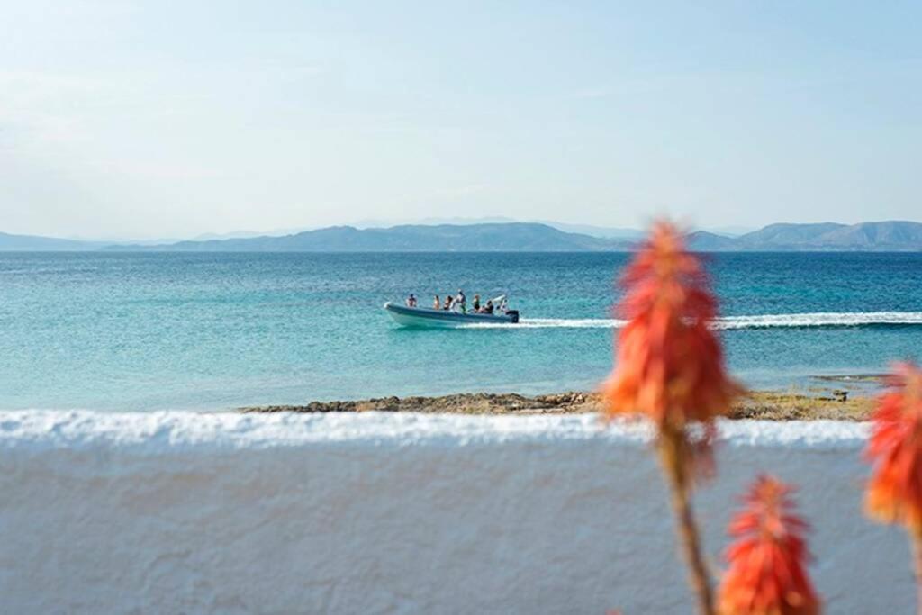 Palmaya Villa, Unique Seafront Experience Vagia  Buitenkant foto