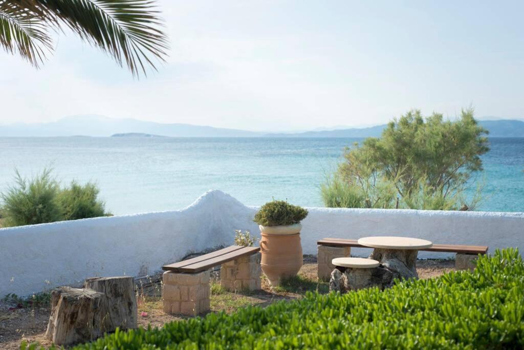Palmaya Villa, Unique Seafront Experience Vagia  Buitenkant foto